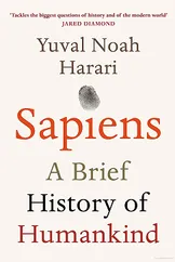 Sapiens: A Brief History of Humankind